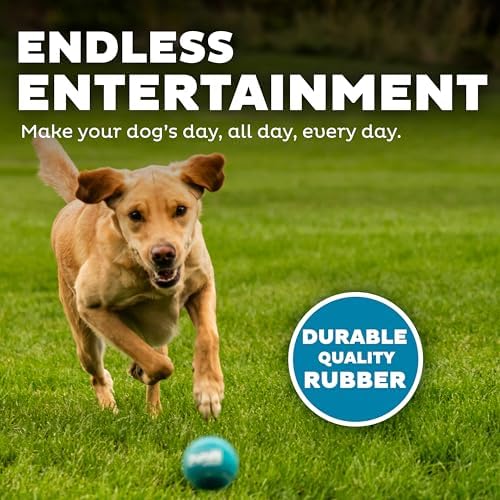 Outward Hound Squeaker Ballz Tennis Ball Dog Toy, Medium, 2.5", 4‑Pack | Squeaks & Bounces, Bright Colors, Interactive Fetch & Training, Indoor Outdoor, Moderate Chewers, Medium Dogs (Under 50 lbs)