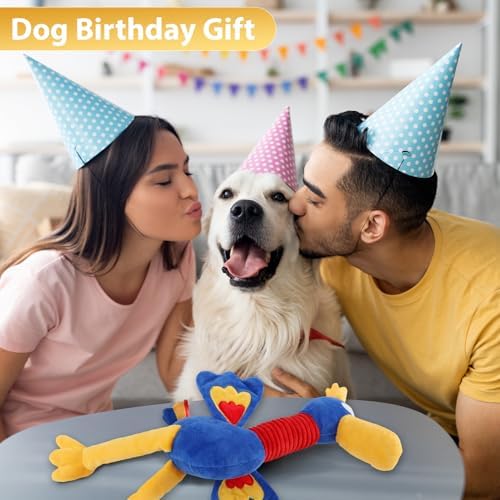 Letsmeet Pet Supplies Squeaky Dog Chew Toy with Soft Fabric Tough Interactive Tug of War Dog Toys to Keep Them Busy for Small,Medium,Large Breed