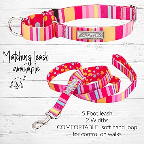 Lucky Love Dog Martingale Collar for Small Dogs No Slip Cute – Molly, Small