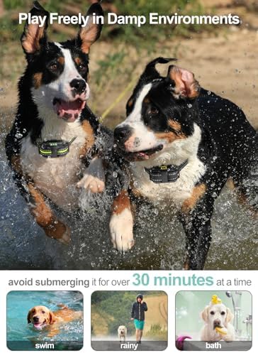Dog Training Collar with Remote - 2 Pack Shock Collar for Medium Large Dogs