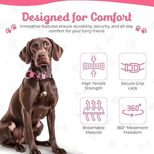 Tooth & Honey Martingale Dog Collar, 1.5-Inch Wide Pig Printed Design
