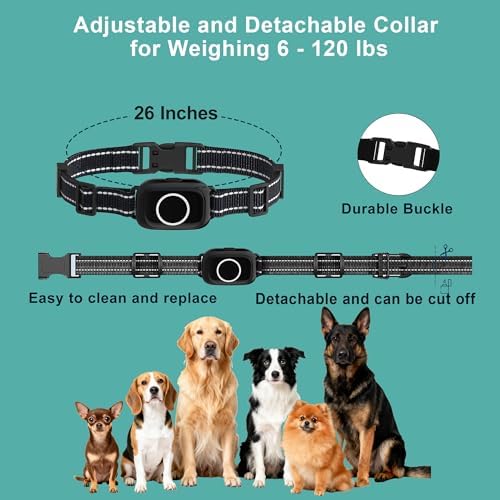 Receiver Collar Only for T800S Remote(Can not be Used Alone) | Anti-Bark & Activity Monitor, 3300Ft Range, Beep/Vibration/Shock Modes, Rechargeable, IPX7 Waterproof, for S/M/L Dogs