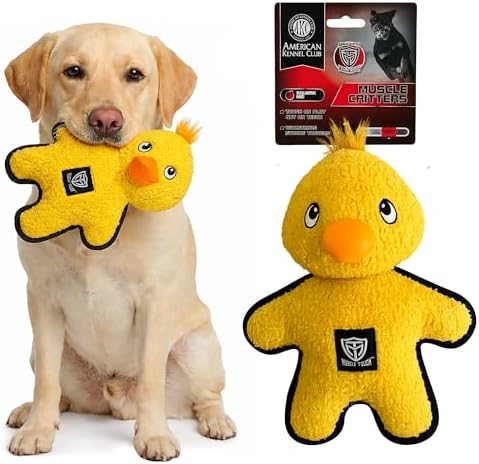 American Kennel Club Plush Dog Toy with Squeaker for Moderate Chewers, Soft Stuffed Dog Toy for Tugging, Fetch & Interactive Play, Gentle on Teeth