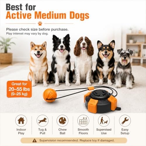 Interactive Suction Cup Dog Toy for Boredom Relief, Tug of War and Self Play with Rope and Rubber Ball, Dog Toys to Keep Them Busy Indoors Or Outdoors (bo)
