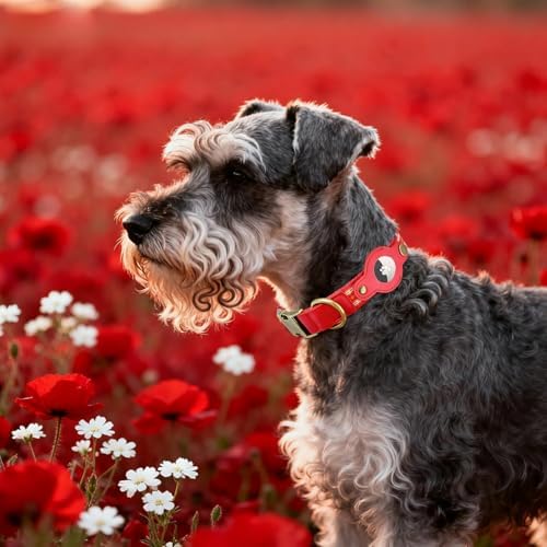 Airtag Dog Collar, Reflective Collar with Airtag Holder for Small Dogs(Red)
