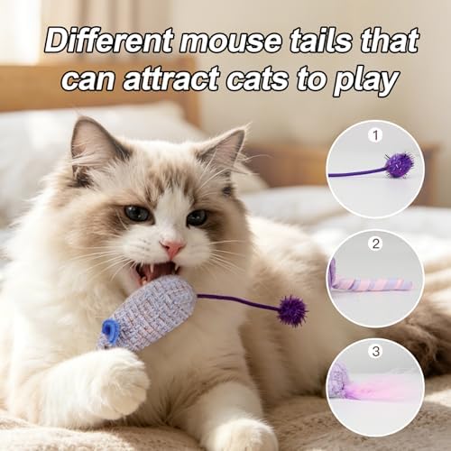 Andiker 3PCS Cat Mouse Toys, Colorful Catnip Toys for Cats with Rattle Box Ribbon Feather Interactive Cat Toys for Indoor Cats to Chew Bite Teeth Cleaning (Purple)