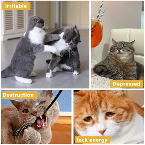 3 Pack Catnip Toys,Soft and Durable Cat Pillows Toys, Funny cat Toy