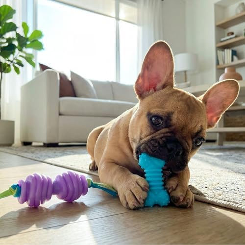Chew Dog Toys for Teething Puppies & Small Dogs up to 15 lbs, Multi-Texture Dental Support, Bounces & Floats, Moderate Chewers, 2-Pack, 5"