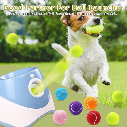 Magicorange Small Tennis Balls, 6 Pack 2 inch Tennis Balls for Dogs