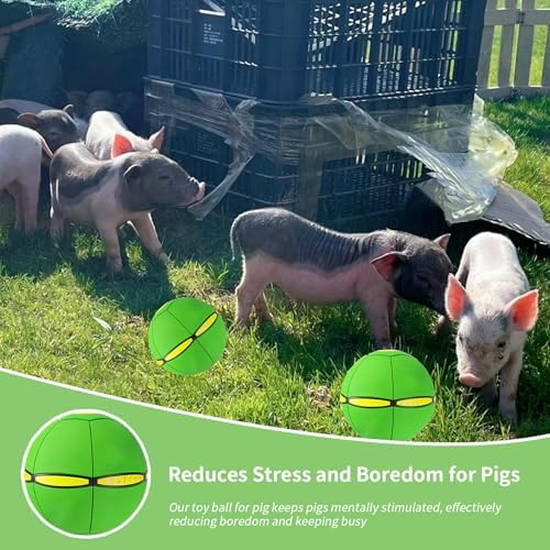 Pig Toy - Toy for Pigs, Interactive Pig Flying Saucer Disc Ball Toys with 6 Lights for Mini Pigs, Enrichment Play for Pet Pigs Supplies Enjoyment and Fun-Green