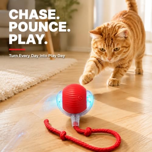 Interactive Cat Ball Toy with String, Red, Bouncing Teaser Wand