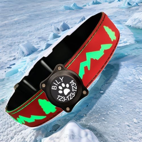 Personalized Light up Dog Collars Rechargeable with Waterproof airtag Holder for Black Dog Night Walking (RED Collar 15 Modes Lighting, M(11.8-15.7"))