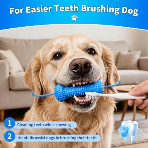 Dog Teeth Cleaning Chew Toy Dental Brush Bone