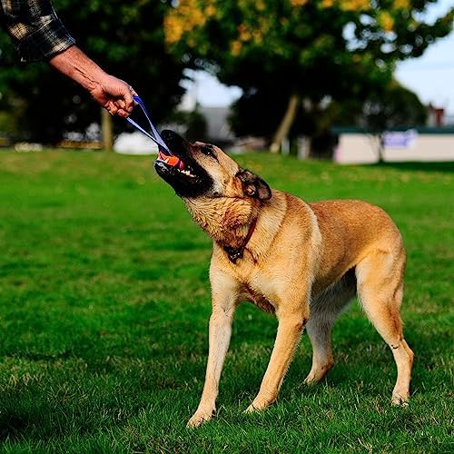 Chuckit! Ultra Tug Dog Toy, Durable Nylon Cord Handle, Large 3-in