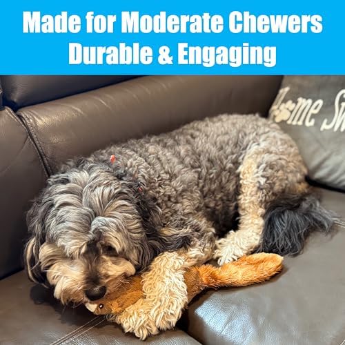 SPOT Skinneeez Plus Squirrel - Stuffing Free Dog Toy with Two Piece Rubber Body and Two Squeakers, Fun to Bite, Stuffingless Design is Great for Moderate Chewers, Tug Toy for Puppies & Dogs - 15in