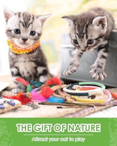 TINDTOP Cat Chew Toys, Silvervine Chew Sticks with 2 Pack Chew Ropes