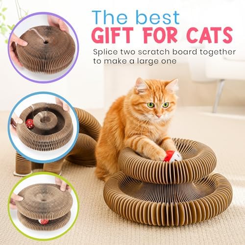 Kitty Curls Cat Toy (Large) Twisty Paws Kurlz | Magnetic Magic Organ Cat Scratcher | Interactive Cardboard with Bell Ball & Hanging Teaser | Honeycomb Design | 1 pcs Teaser 1 pcs Scratcher