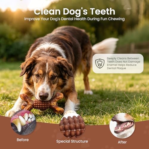 BoYoYo Indestructible Dog Chew Toys for Aggressive Chewers, Tough Dog Toys for Large & Medium Dogs, Dog Chew Bones Long Lasting to Keep Them Busy, Durable Bacon Flavored Toy, Brown