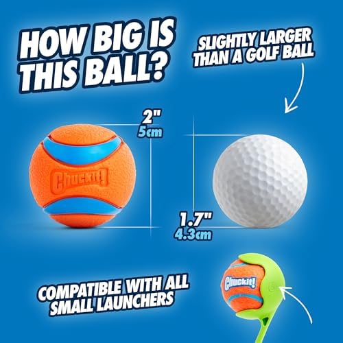 Chuckit! Ultra Ball Dog Toy, Balls for Dogs to Fetch, Durable Rubber, Small 2-inch (Pack of 24)