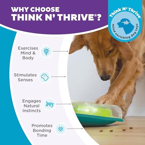 Outward Hound by Nina Ottosson Wobble Bowl Slow Feeder Dog Puzzle, Level 1 Beginner, 11.6 inches x 3.5 inches, Multicolored
