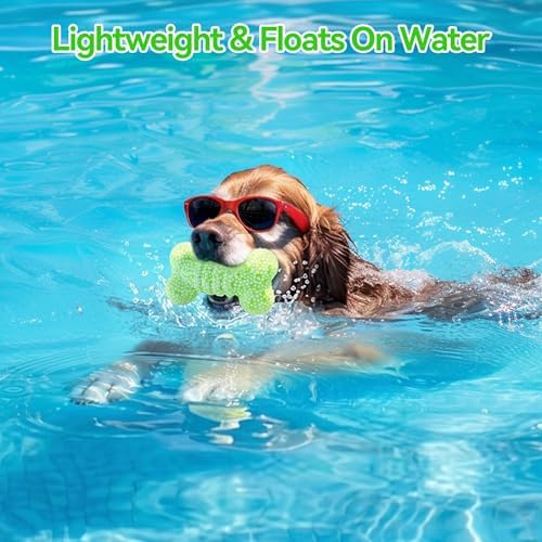 ALL FOR PAWS Dog Bone Toy, ETPU Bouncy Fetch Toys for Dog, Lightweight Dog Bone Toys for Medium & Large Dogs, High-Rebound Dog Interactive Toy for Outdoor & Indoor