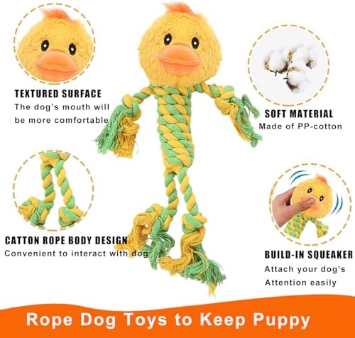 Duck Rope Dog Toy, Plush Lion Squeaky Dog Toy, 2 Pack