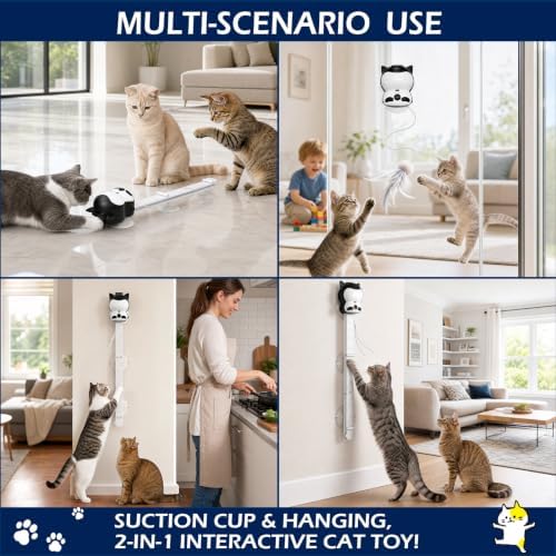 2-in-1 Electric Cat Toy, Automatic Interactive Cat Wand with 2 Play Modes (Track Chase & Bounce), Indoor Exercise Toy for Kittens & Adult Cats