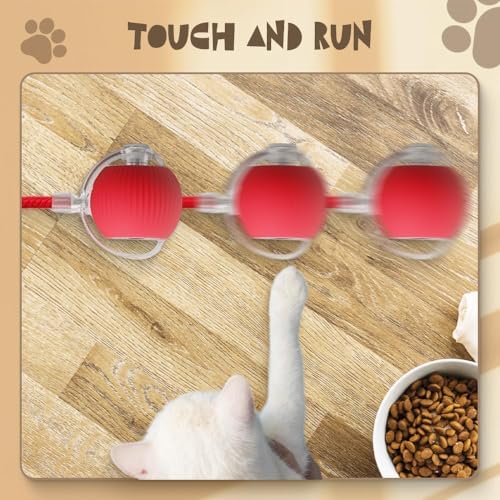 Interactive Rolling Dog Ball, 2027 New Self-Rolling Dog Toy and Interactive Cat Toy, Automatic Moving Pet Ball, 360° Intelligent Automatic Rolling Ball Toy, Electric Dog Ball/Cat Toy (Gray)