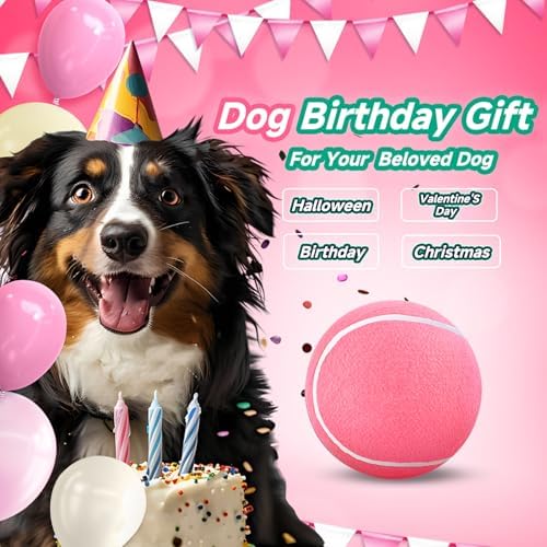 HETOO Dog Tennis Balls, Dog Puppy Birthday Gifts, Herding Ball, 9.5 Inch