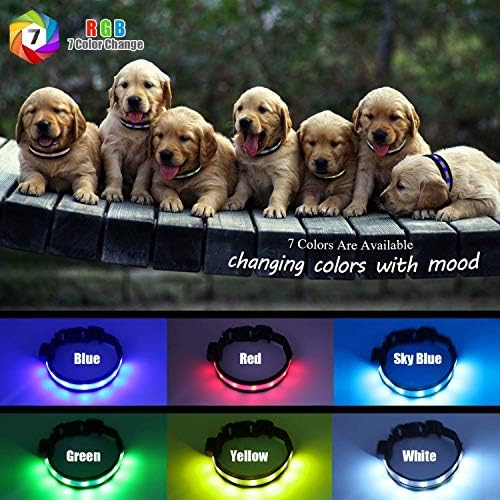 Light Up Dog Collars,Safety LED Dog Collars USB Rechargeable 7 Changing Colors Glow in The Dark Dog Walking Light,Neon Adjustable Safety Buckle Lighted Dog Collar for Small/Medium/Large Dogs, XL Size
