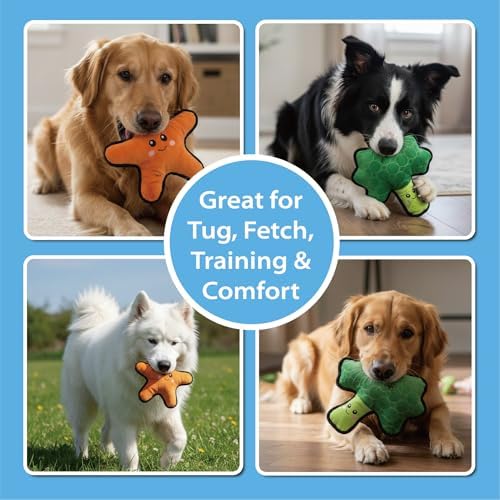 Durable Plush Dog Toys, 2 Pack Pet Squeaky Chew Toys, Double Layer Reinforced Interactive Pet Toys for Aggressive Chewers, Tough Toys for Medium and Large Dogs (Orange Starfish+Green Broccoli)