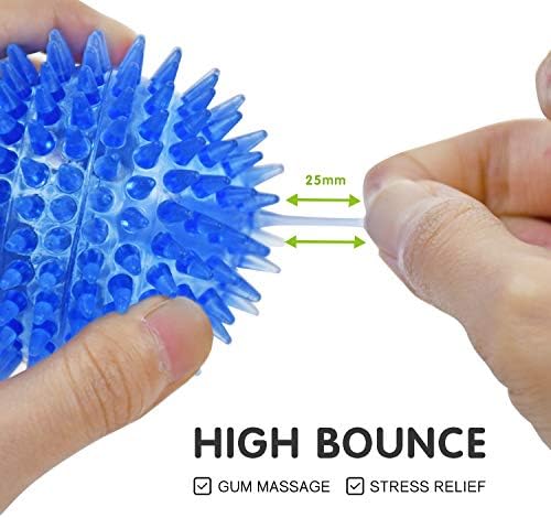 Squeaky Balls for Dogs Small, Fetch Balls Rubber 3 Pack Bright Colors