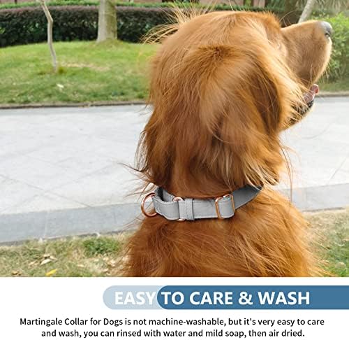 Soft Leather Martingale Dog Collar - Adjustable Rose Gold Limited Slip Collars [Easy to Clean], Stylish Durable Heavy Duty Nylon No Pull Training Collar for Small Medium Large Dogs XS Grey