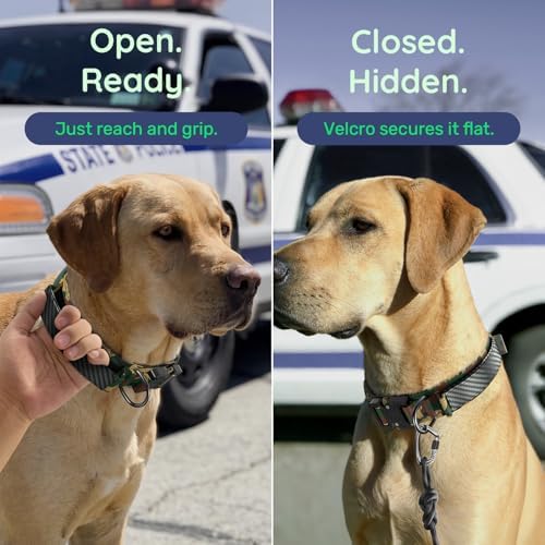 Premium Tactical Dog Collar - Adjustable Military Heavy Duty Dog Collar for Medium Large Dogs - Durable Metal Buckle Dog Collar with Leather Control Handle and Soft Comfortable Padding