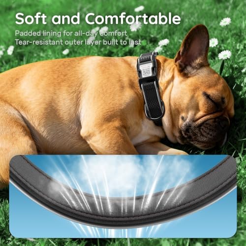 Reflective Dog Collar with QR Code Tag, Black, M(12.6"-19.6")