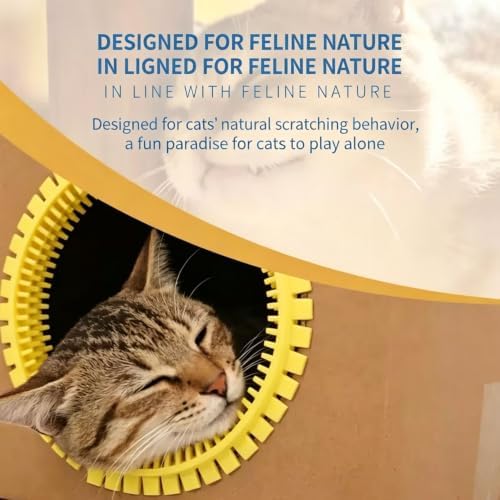 3-Pack Cat Self Groomer for Cardboard Box, Scratch Brushes with Box, Interactive Cat Arch Self Groomer with Scratching Pad, DIY Grooming Brush Ring, Hideouts & Enrichment Play (Purple Pink Yellow)