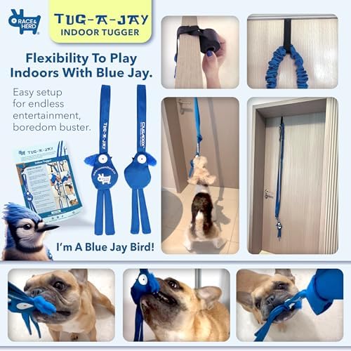Race&Herd Tug-A-Jay Tether Tug Outdoor Dog Toy — Bungee Tug Rope