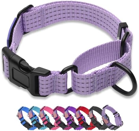 Martingale Dog Collar Reflective NO Pull with USA Flag, Lavender, M