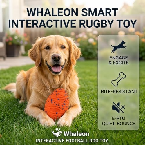 Interactive Dog Ball for Medium & Large Dogs, E-TPU Football Toy