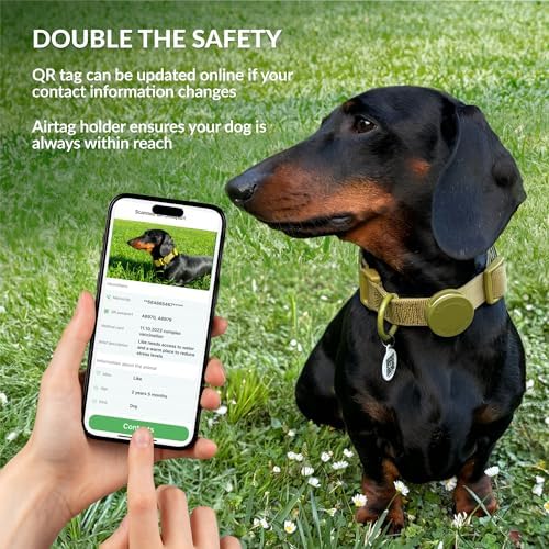 CollarDirect Airtag Nylon Dog Collar Silicon Holder Designed for Apple Airtag with QR Tags Personalized Dogs Puppies 5 Colors Black Pink Violet Green Orange (Green, XS)