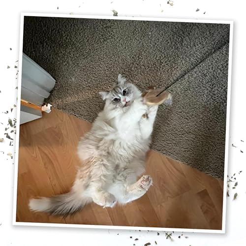 Meowijuana Jump 'n' Jamb Monkey Cat Toy and Catnip Blend | High Potency