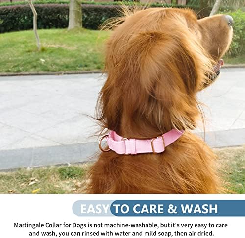 Soft Leather Martingale Dog Collar - Adjustable Rose Gold Limited Slip Collars [Easy to Clean], Stylish Durable Heavy Duty Nylon No Pull Training Collar for Small Medium Large Dogs S Pink