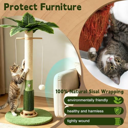 Cat Scratching Post,37.5'' Tall Palm Tree Sisal Scratcher for Indoor Cats