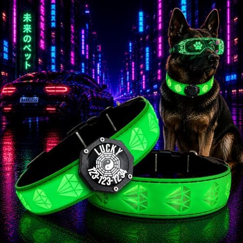 Light Up Glow Dog Collar with AirTag Holder, 15 Color Modes,