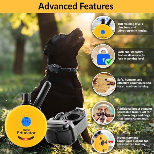 E-Collar ET-300 Mini Educator Dog Training Collar, Yellow, 1/2 Mile