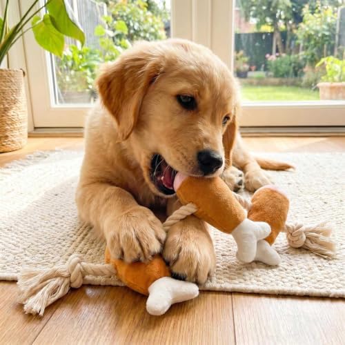 Drumstick Dog Rope Toy, Squeaky Plush Tug for Small Medium Dogs