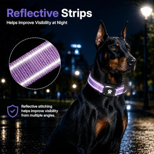 GPS Dog Collar with Tracker, Waterproof, No Monthly Fee, Purple, XS