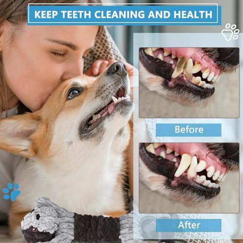Letsmeet Plush Dog Squeak Toys with Crinkle Paper - Pull Interactive Tug of War Dog Toy, Great for Dental Health, Strengthening Bonds and Anxiety Relief for Puppies, Small, Medium, Large Dogs