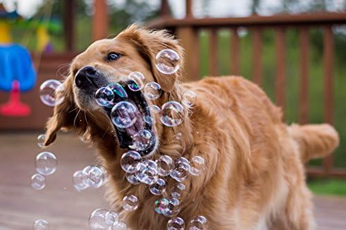 Puppy Love Bubbles, Peanut Butter Scented Bubbles 4oz. Bottle-2 Pack in Peanut Butter Flavor for Dogs