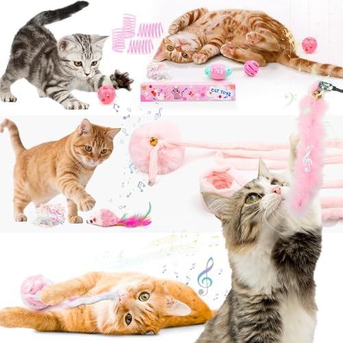 QUOZUO Pink Cat Toy Kitten Toys Set, Hanging Interactive Kitten Toys Wand Springs Mice Crinkle Balls and Pet Bell Balls Toys for Indoor Cats, 12Pcs Gift Box Styles (Pink)